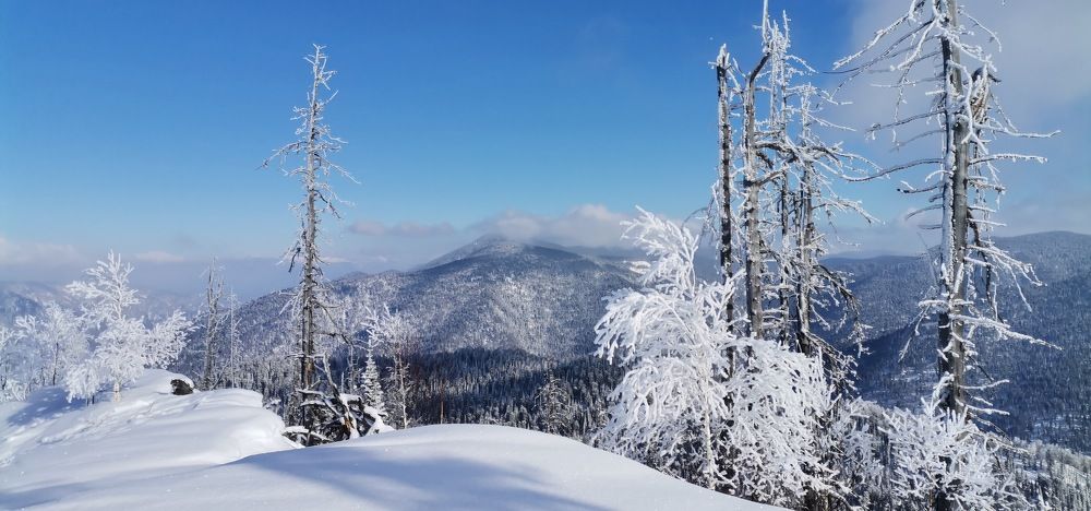 Photograph by Елена Павлова