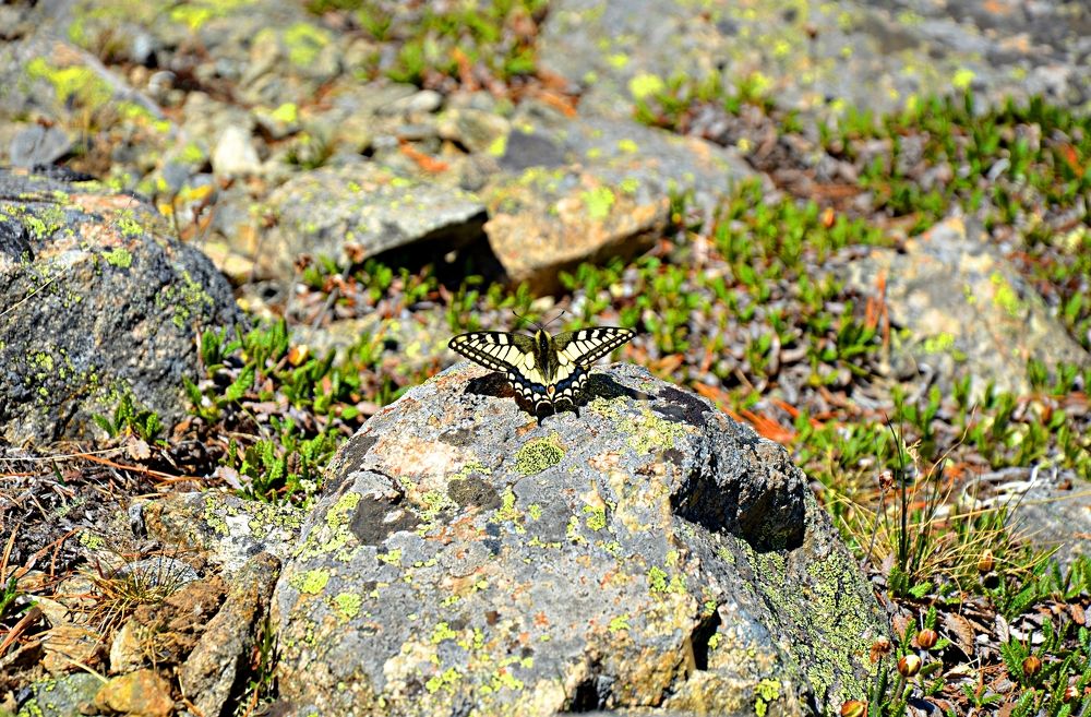 Photograph by Елена Савчук