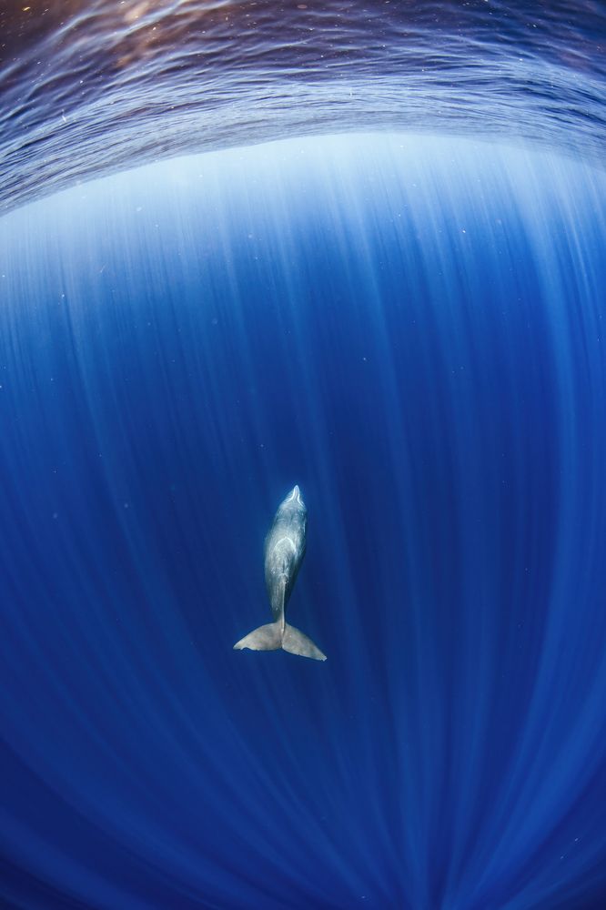 Photograph by Merche Llobera