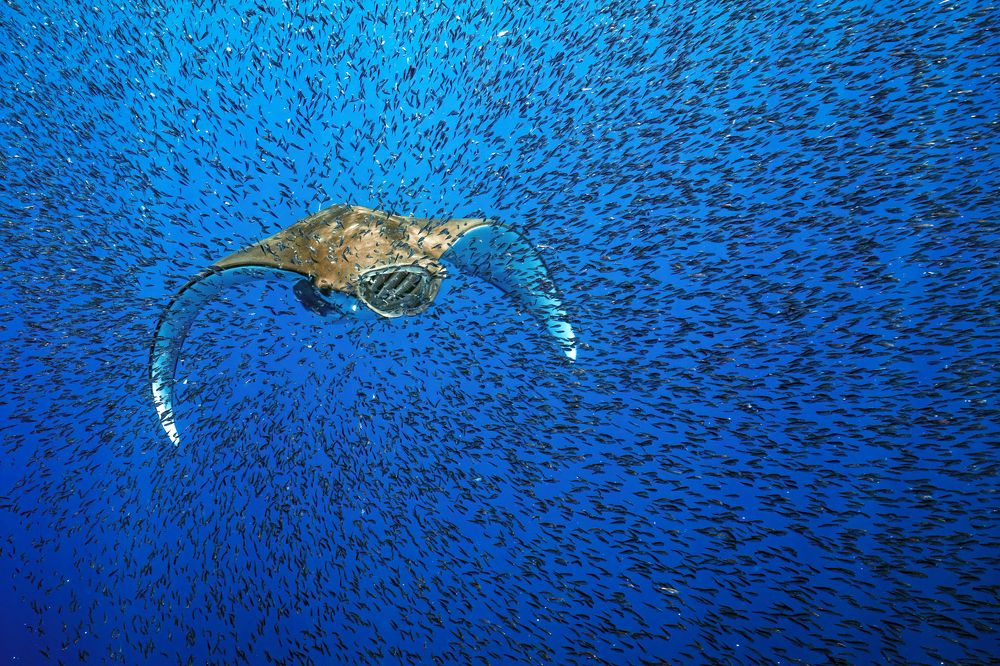 Photograph by Merche Llobera