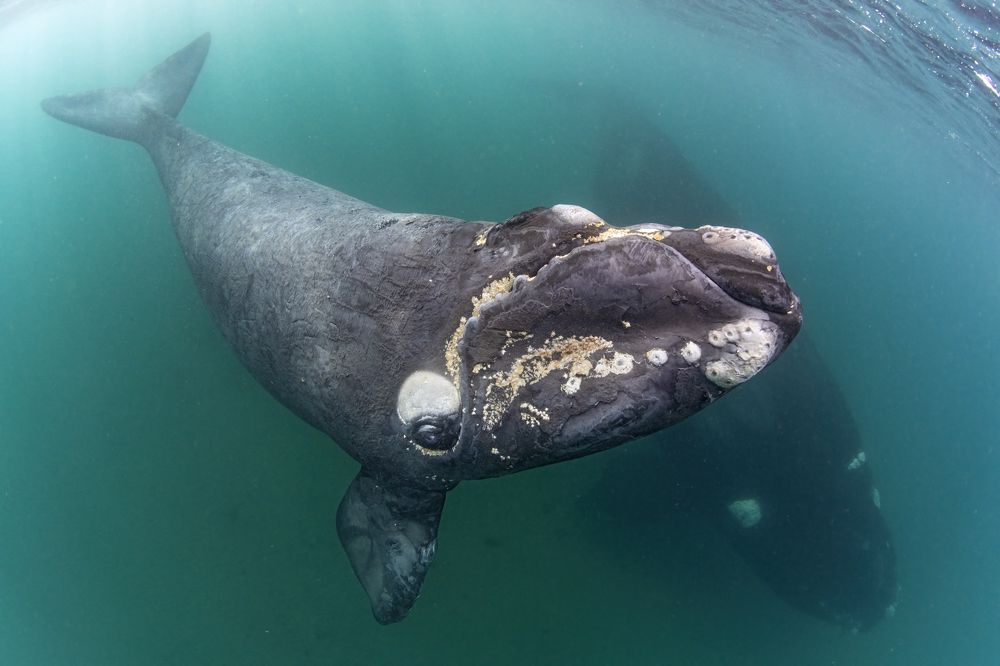 Photograph by Merche Llobera