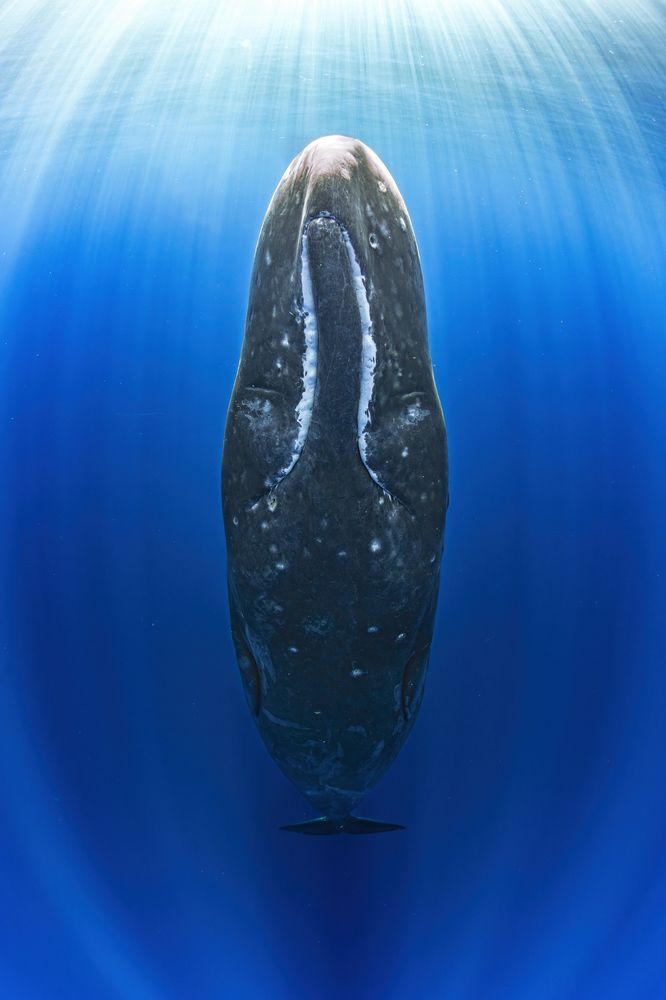 Photograph by Merche Llobera