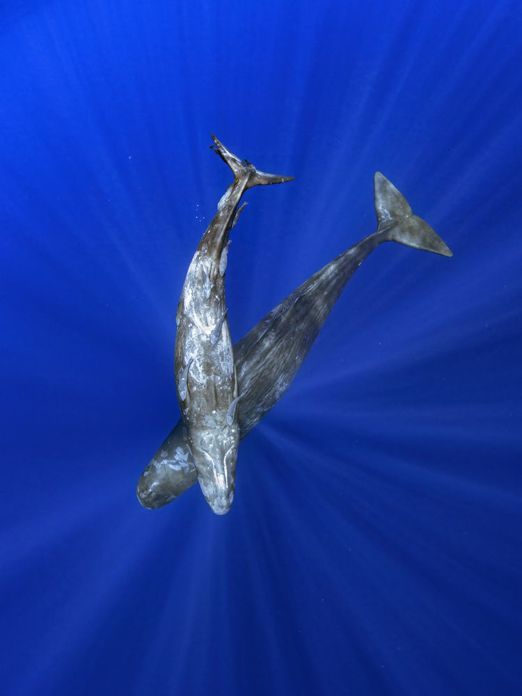 Photograph by Merche Llobera