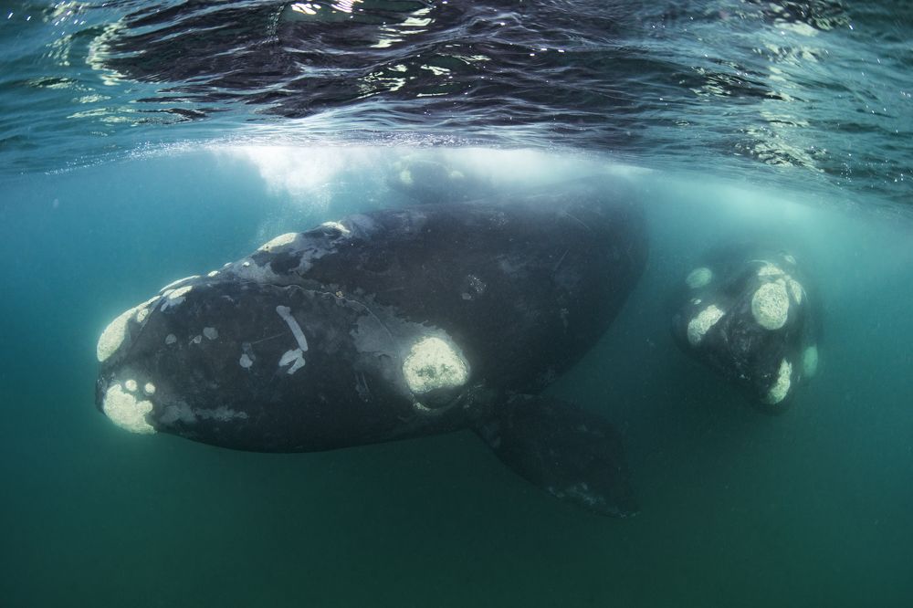 Photograph by Merche Llobera