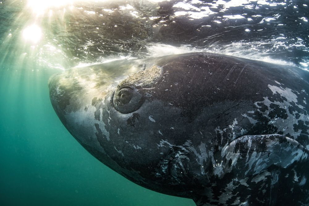 Photograph by Merche Llobera