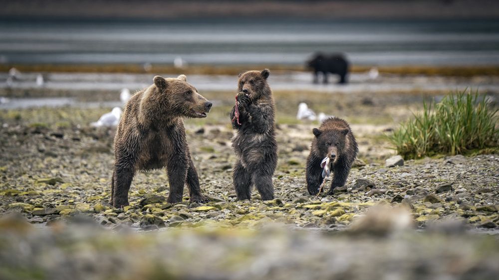 Photograph by Merche Llobera