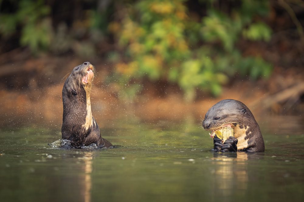 Photograph by Merche Llobera