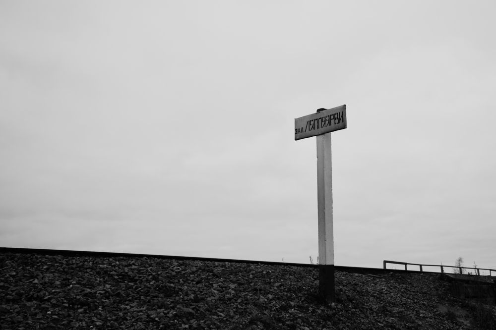 Photograph by Татьяна Лисейцева