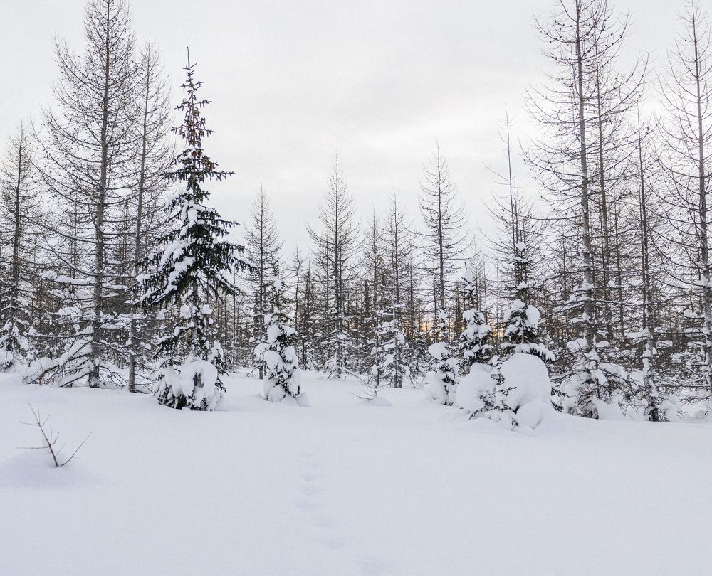 Photograph by Denis Trushtin