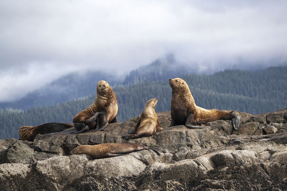 Photograph by Merche Llobera