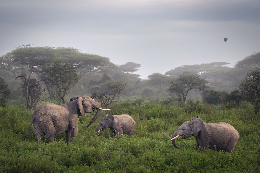 Photograph by Merche Llobera