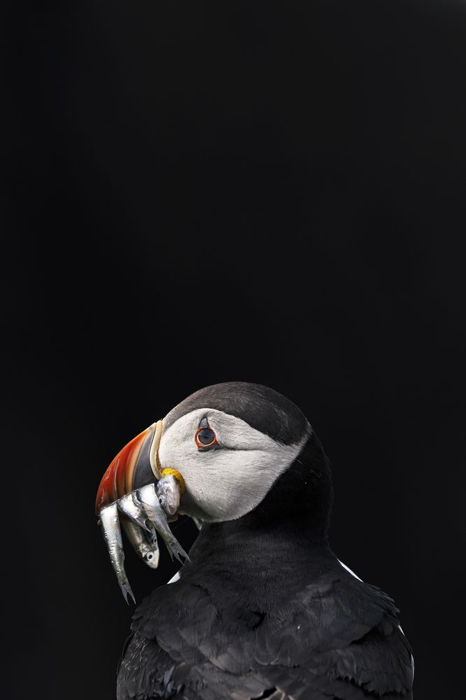 Photograph by Merche Llobera