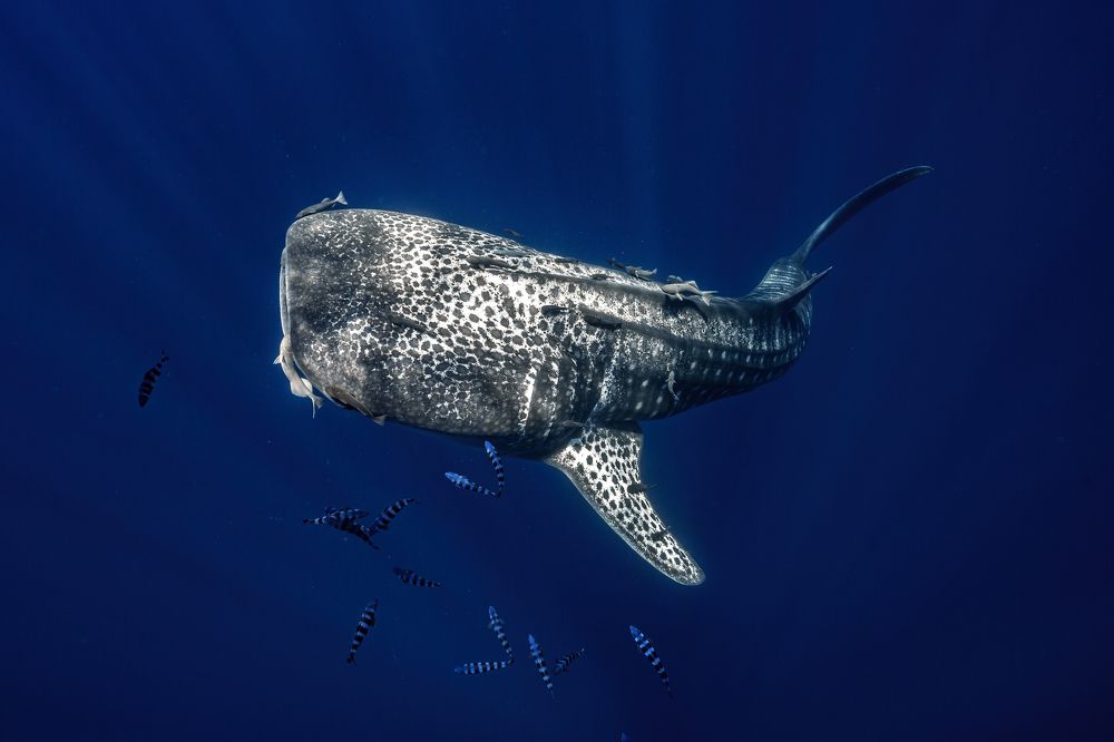 Photograph by Merche Llobera