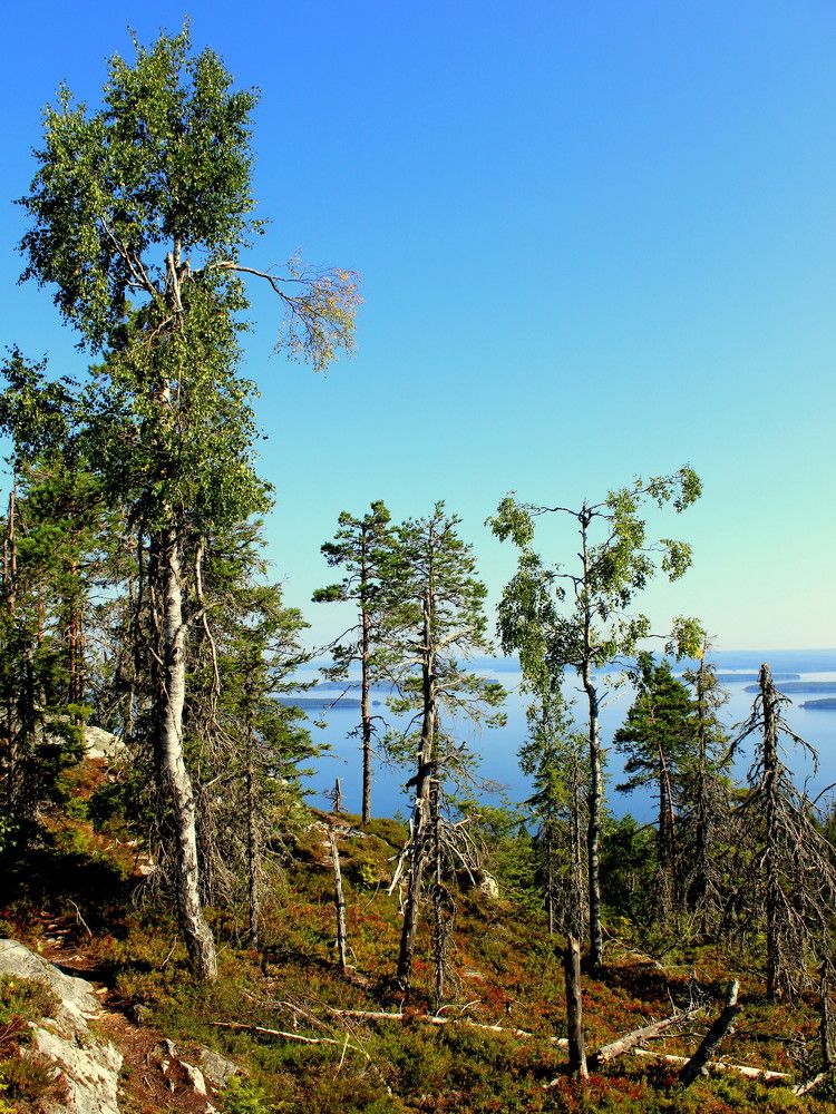 Photograph by Алексей Макаров