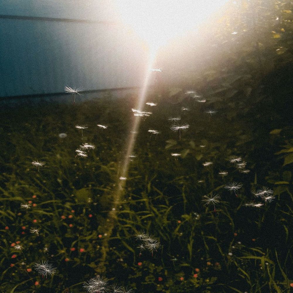 Photograph by Anastasia