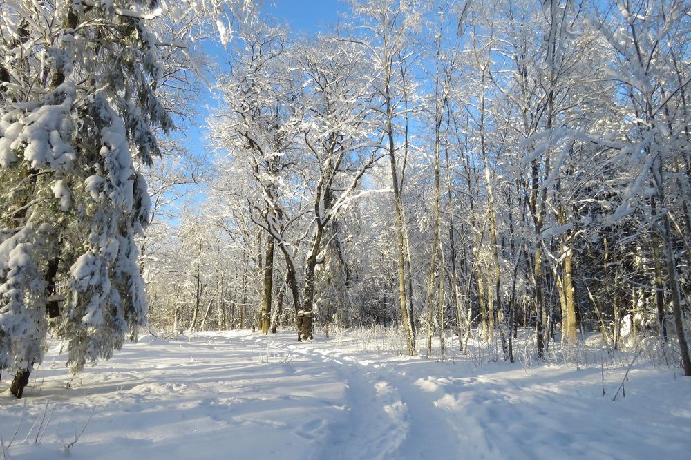 Photograph by Валерия Яскович