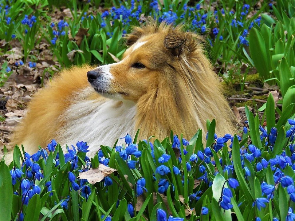 Photograph by Валерия Яскович