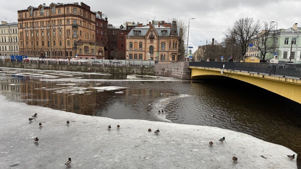 Photograph by Елена Любатова