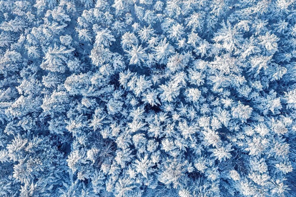 Photograph by Вероника Романенко