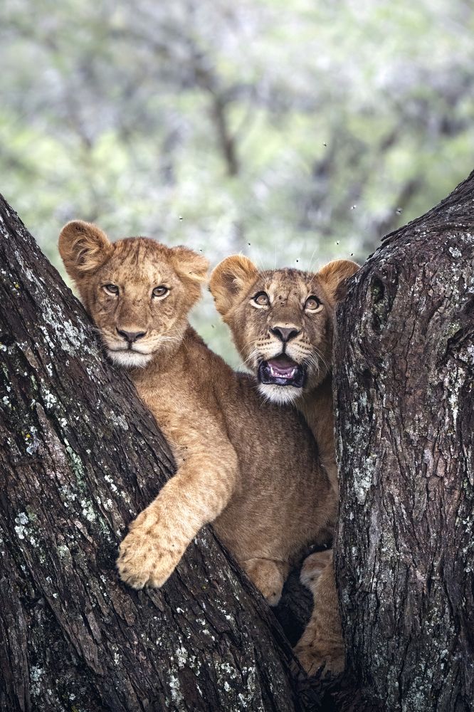 Photograph by Merche Llobera