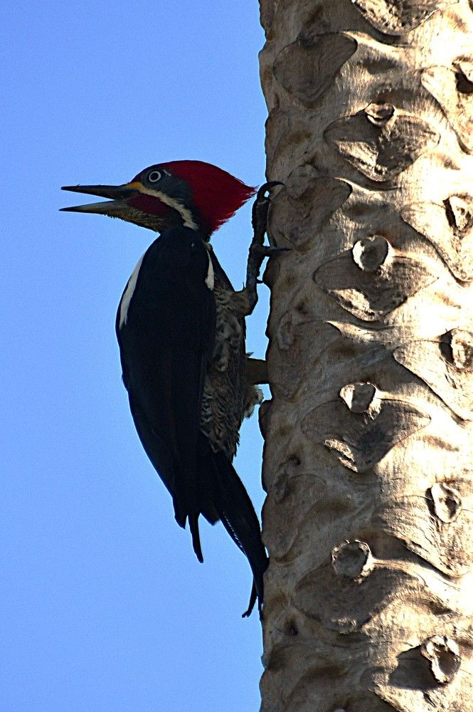 Photograph by Marzio Fattorini