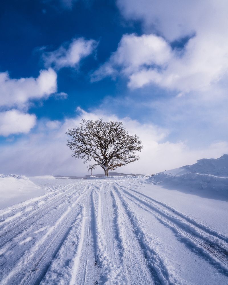 Photograph by Sebastian Tan