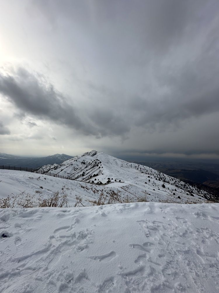 Photograph by Лилия