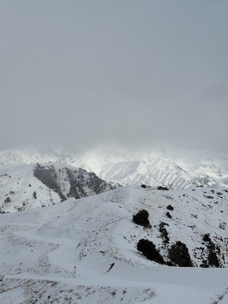 Photograph by Лилия