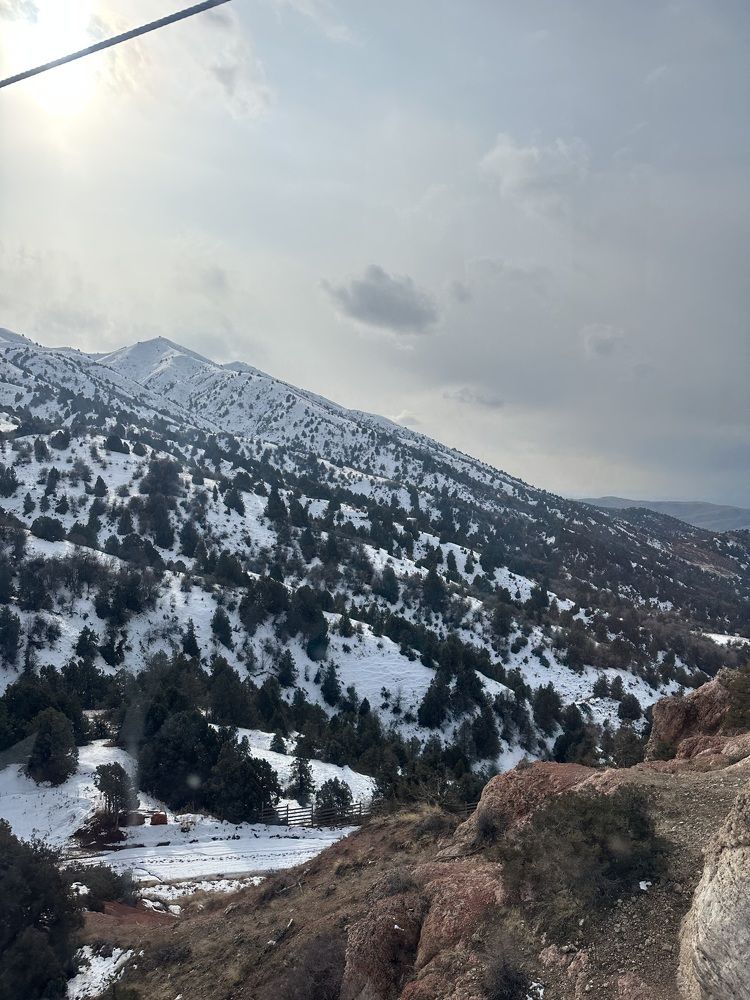 Photograph by Лилия