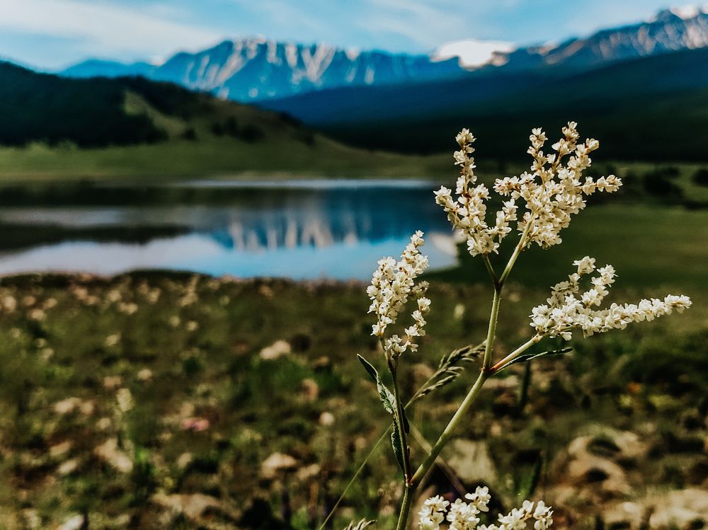Photograph by Александра Петрова