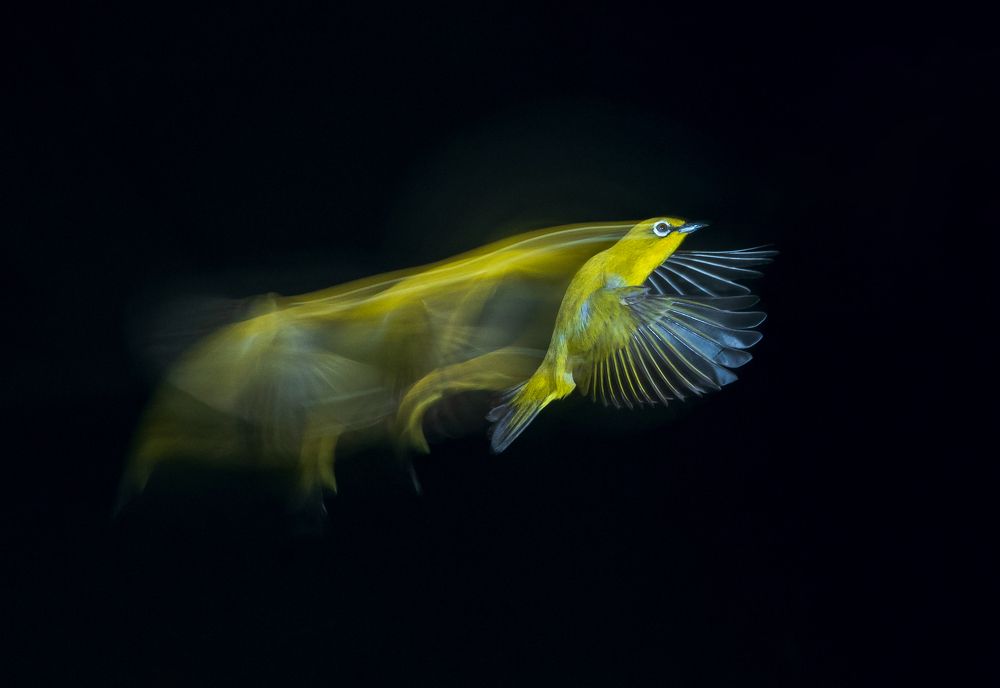 Photograph by Padmanava santra