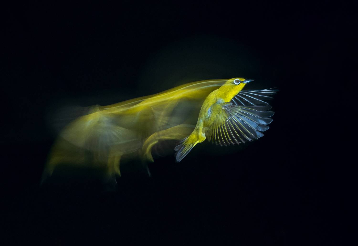 Фотография #11741134