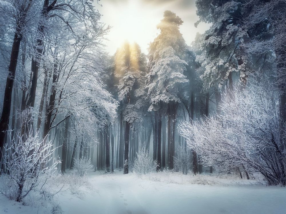 Photograph by Marina Ivanova