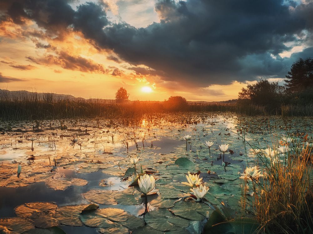 Photograph by Marina Ivanova