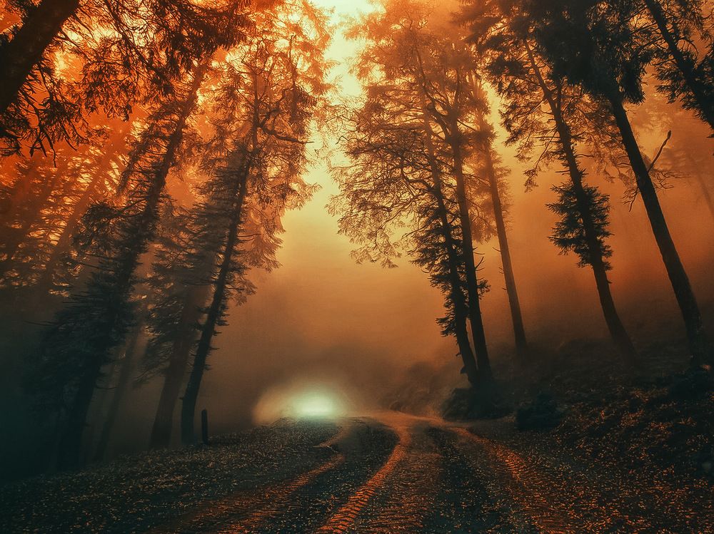 Photograph by Marina Ivanova