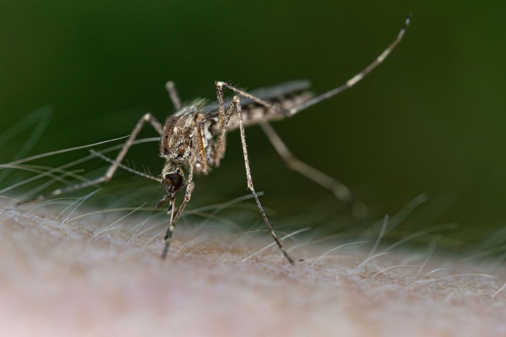 Photograph by Sergey Vatta