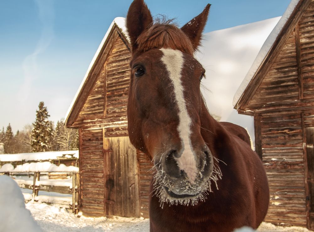 Photograph by Наталья Колеватова