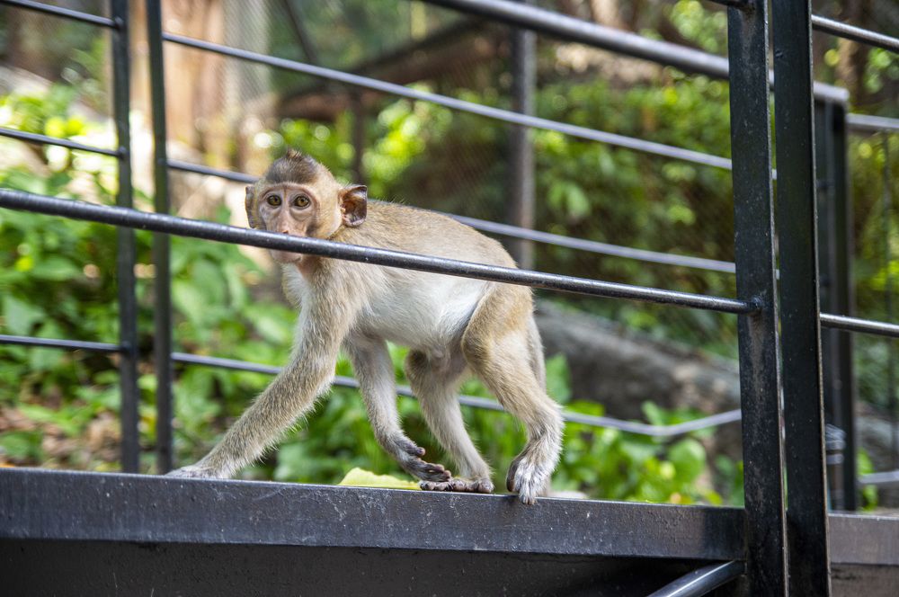 Photograph by Евгений