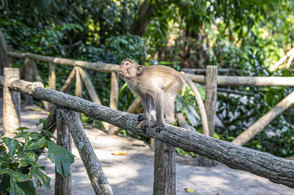 Photograph by Евгений