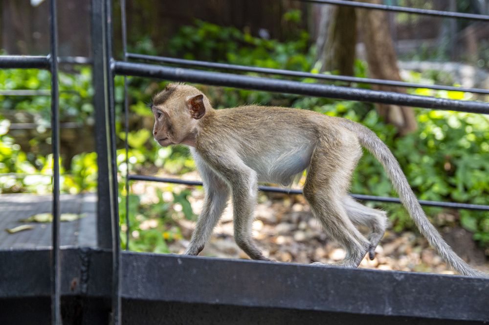 Photograph by Евгений