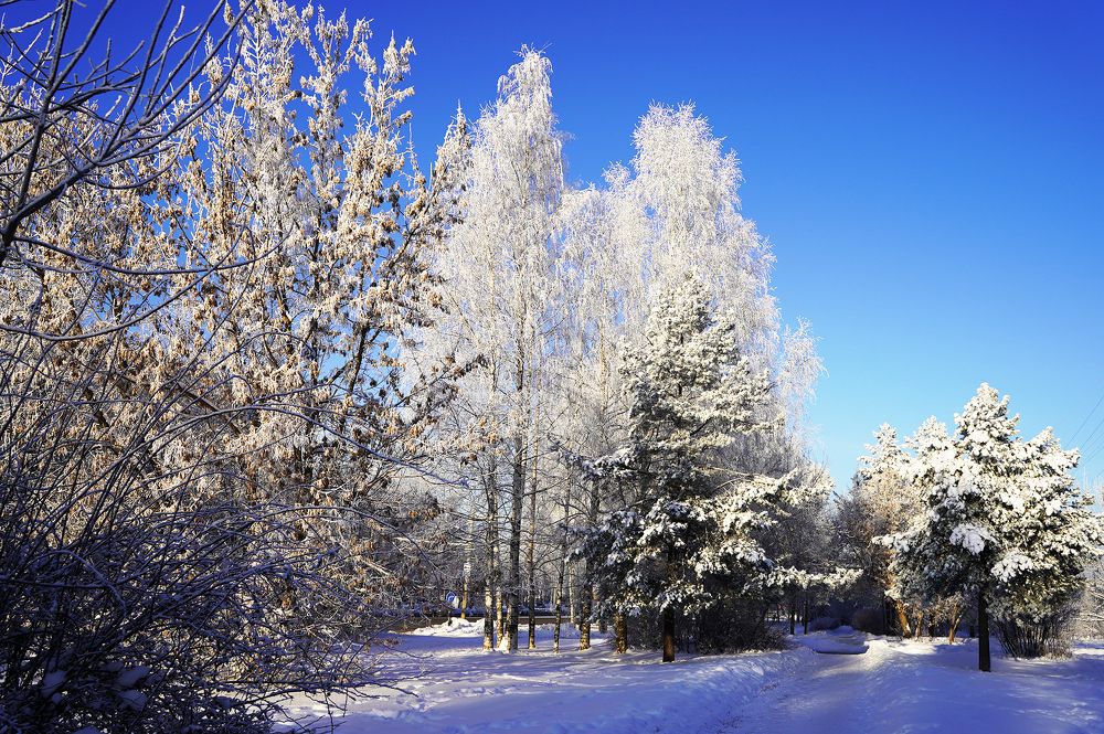 Photograph by Светлана Семенова