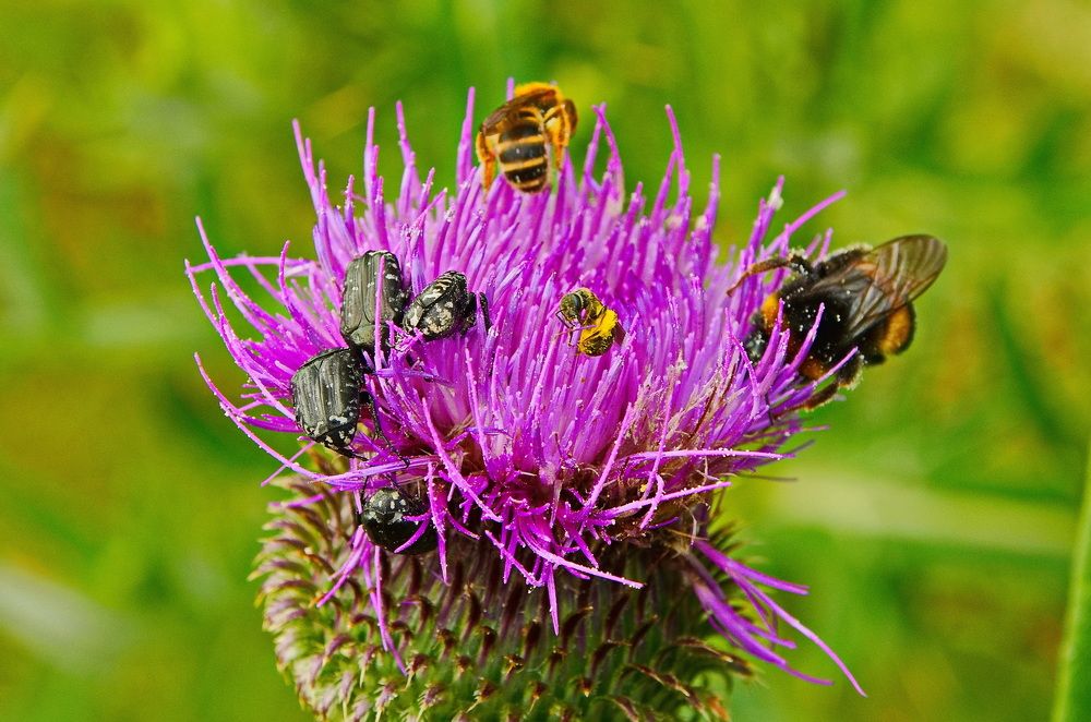 Photograph by Александр