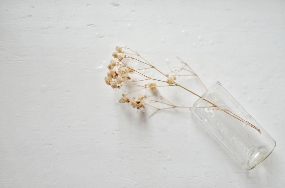 Фотография автора Ольга Беликова