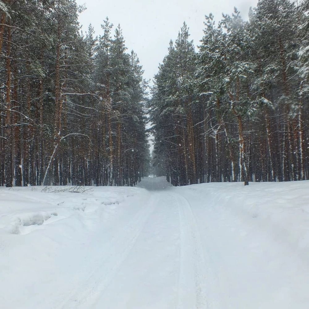 Photograph by Александр Новокрещенов