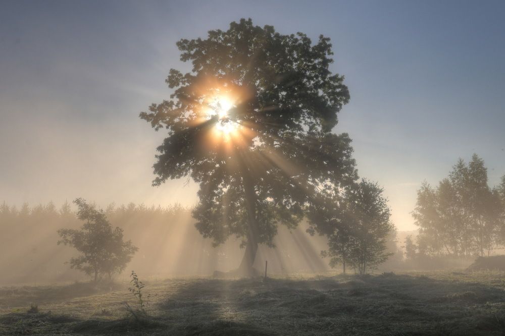 Photograph by Добролюбова Тамара