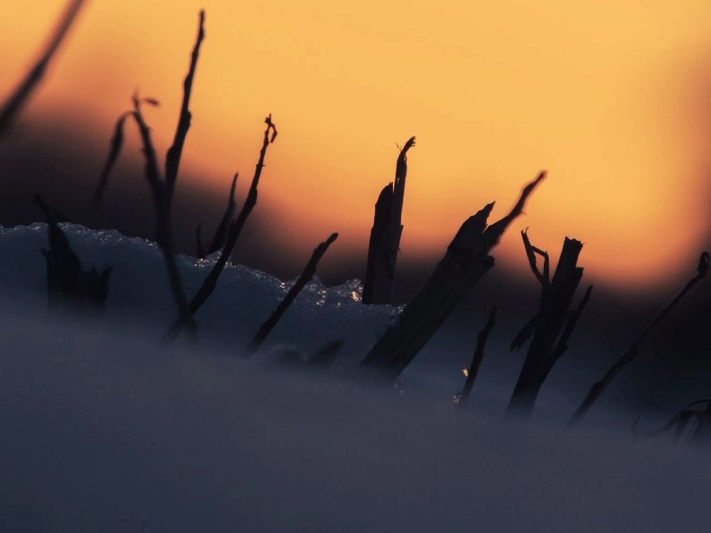 Photograph by Александр Новокрещенов