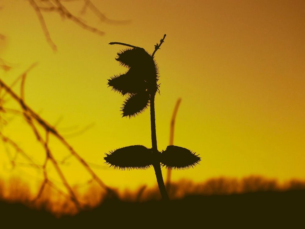 Photograph by Александр Новокрещенов