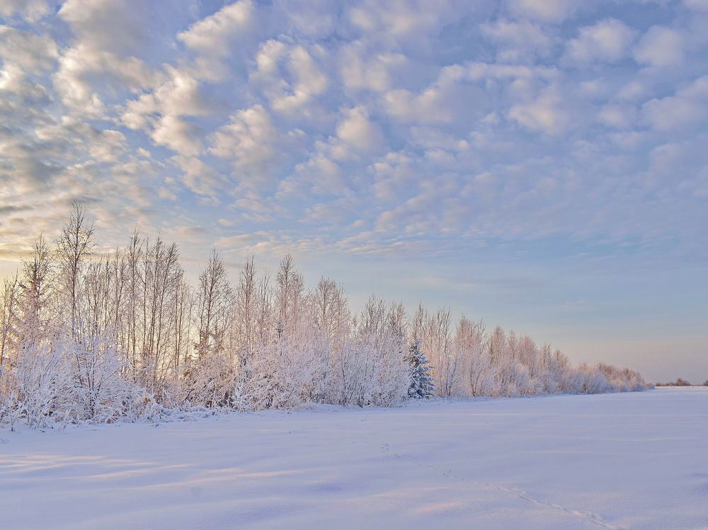 Photograph by Надежда Коновалова
