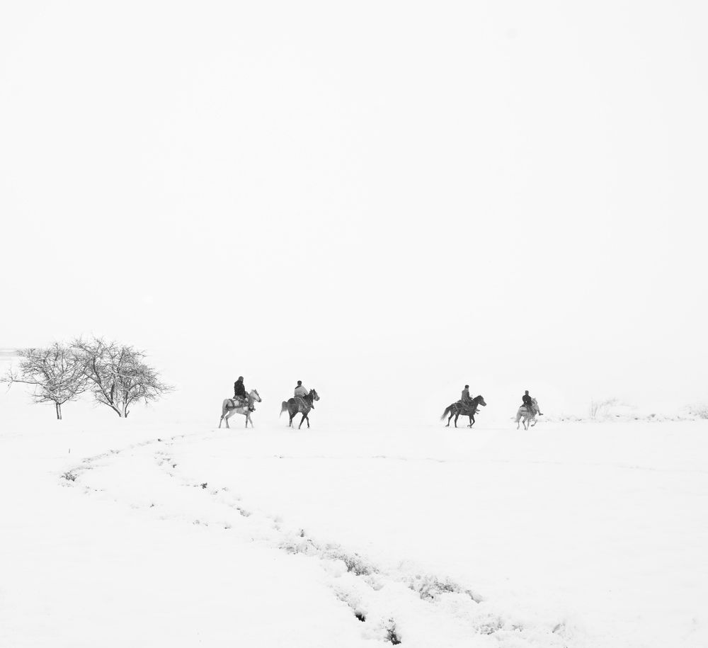 Фотография автора mohammad Alipour