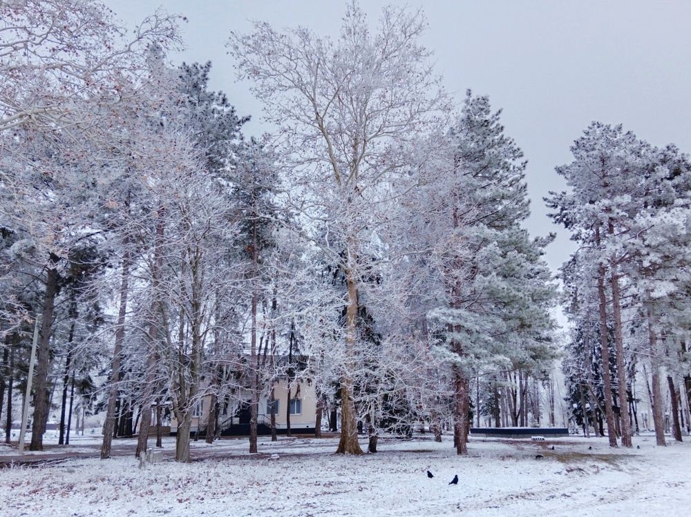 Зимний парк